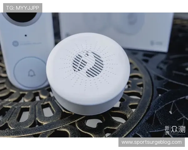 凯时KS真人平台新手入门攻略详细步骤帮助玩家快速上手体验